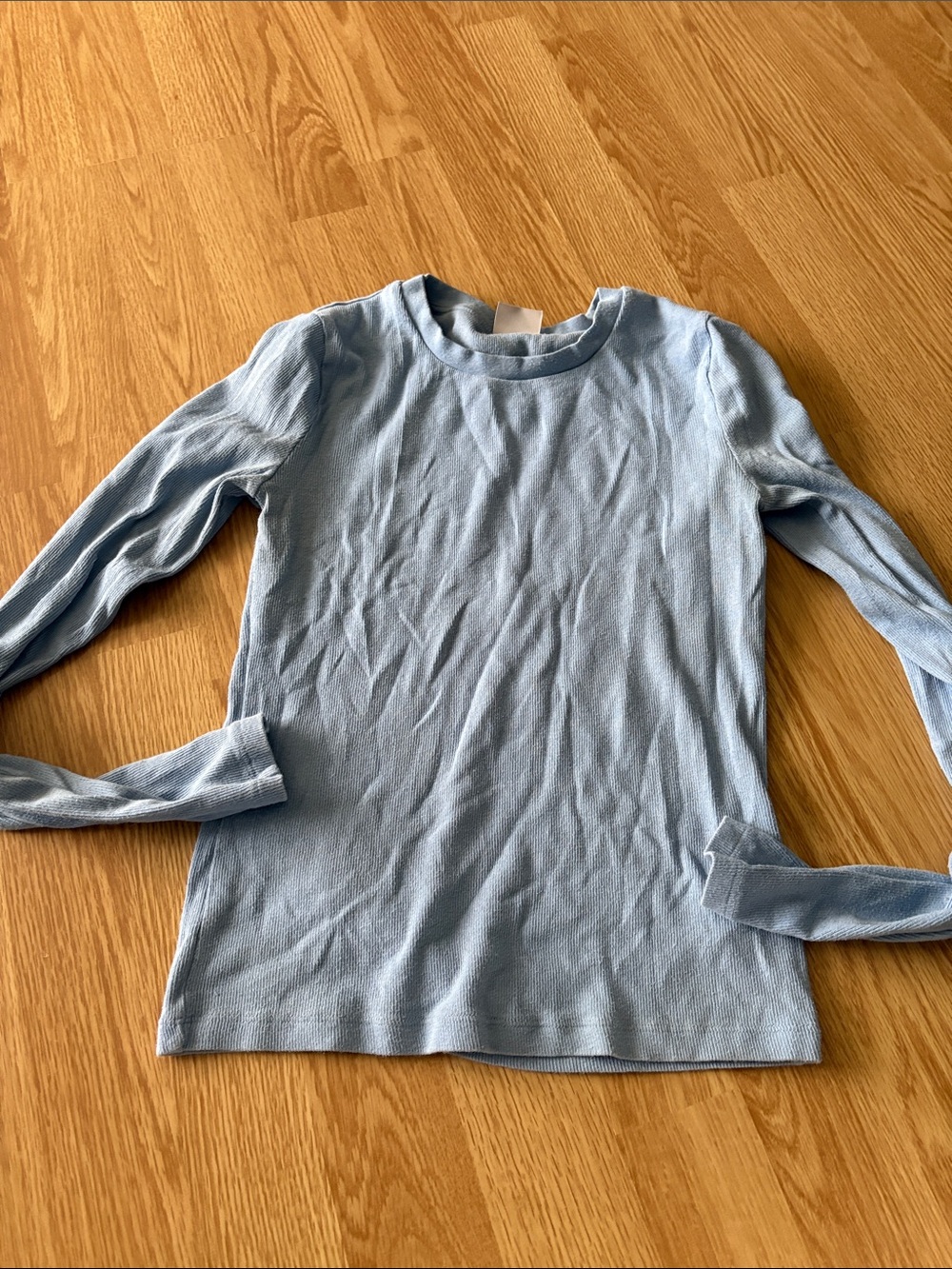 Aritzia homestretch Blue Long-Sleeve Top
